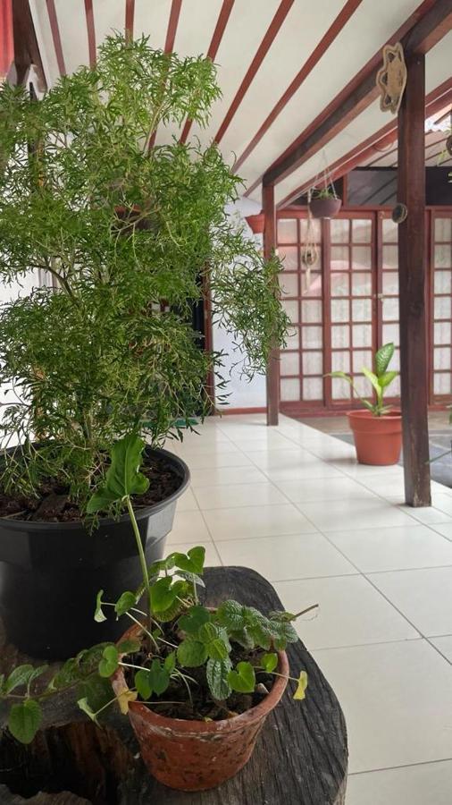 Hospedaje Casa Amazonica Iquitos Kültér fotó