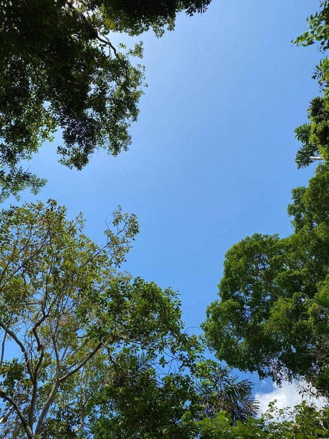 Hospedaje Casa Amazonica Iquitos Kültér fotó
