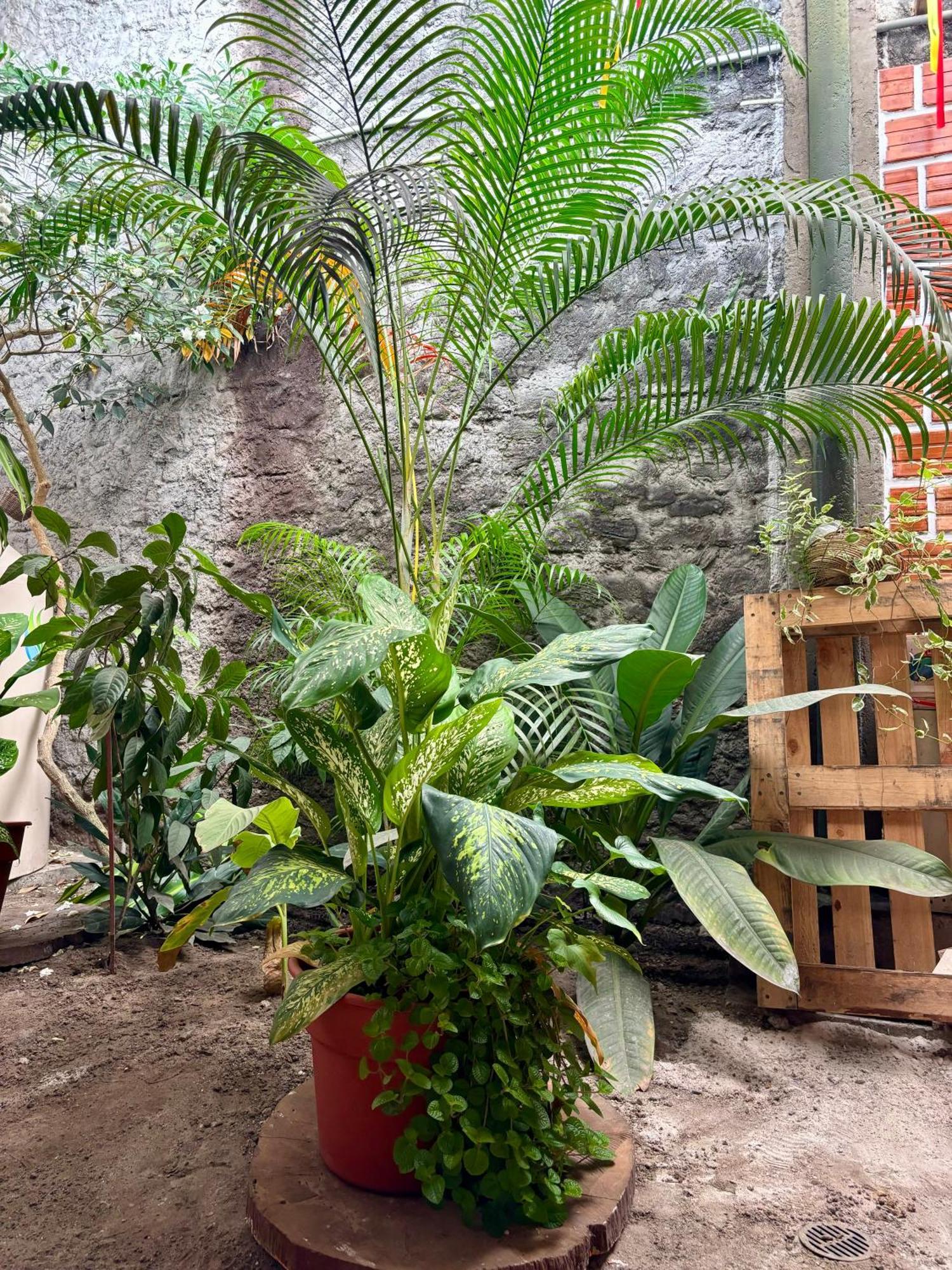 Hospedaje Casa Amazonica Iquitos Kültér fotó