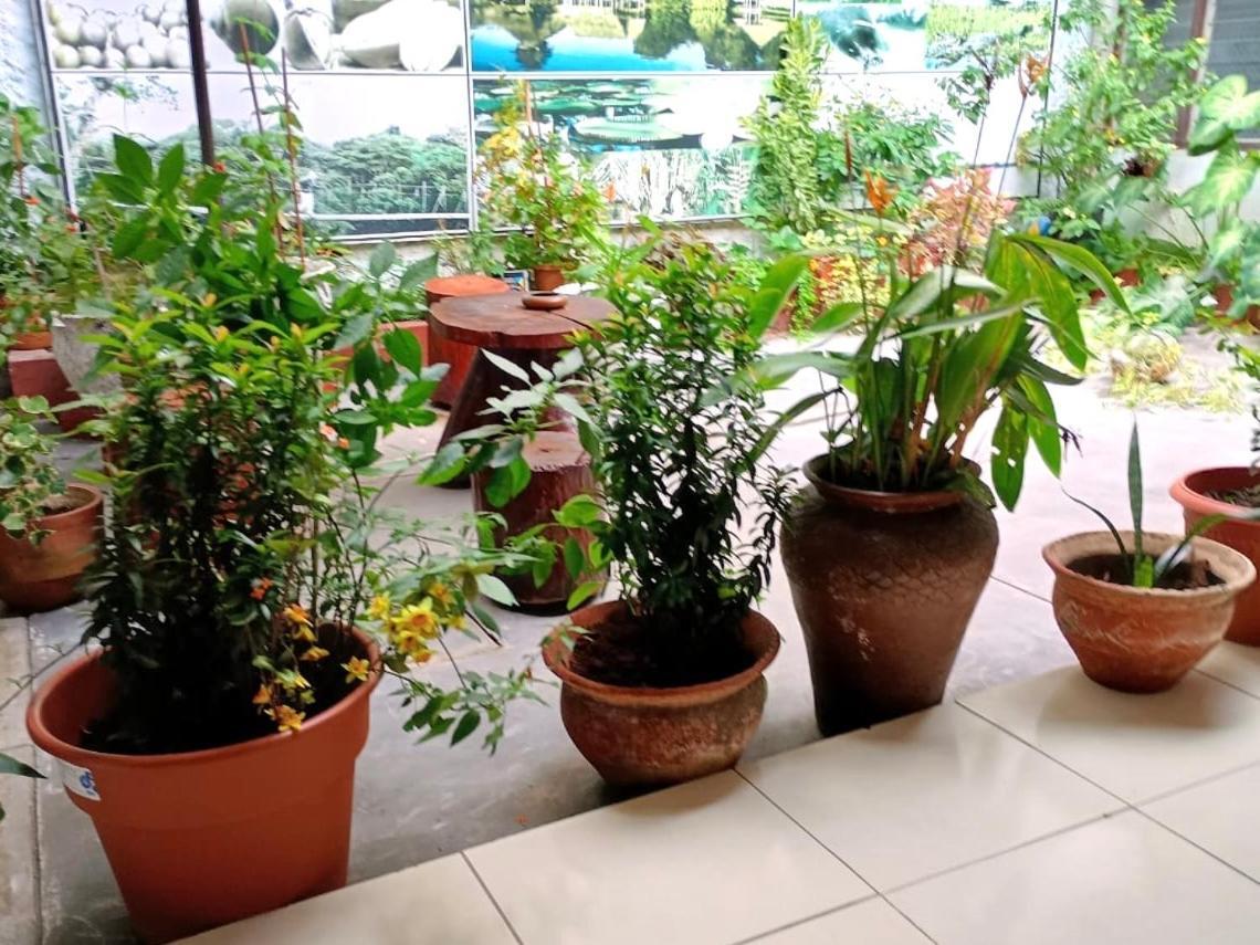 Hospedaje Casa Amazonica Iquitos Kültér fotó